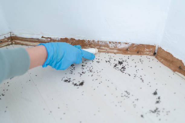 Best Affordable Pest Control Services  in Troy, PA